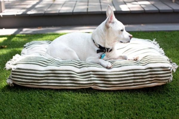 Подстилка для собак своими руками: даешь удобную кровать!